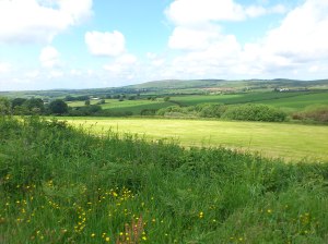 view over Pembrokeshire