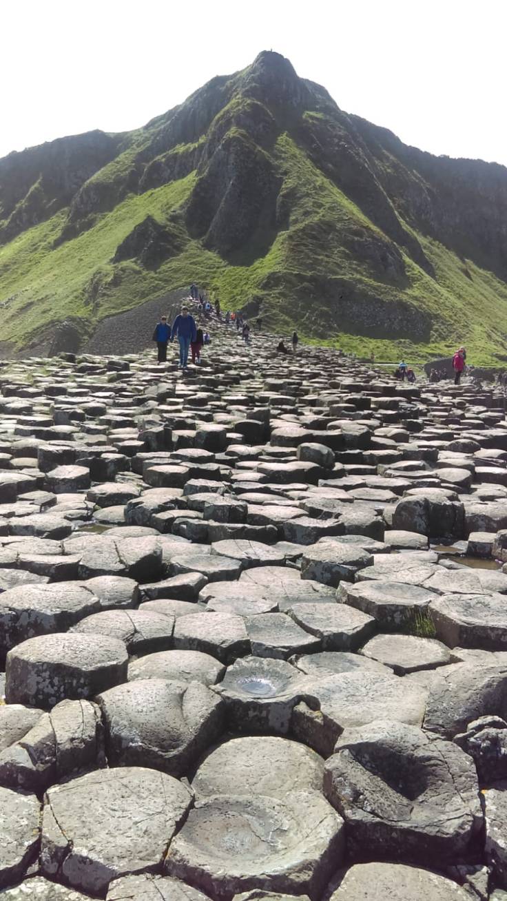 bc82b6cc-cd0b-42a1-acfa-2f63275d71c1